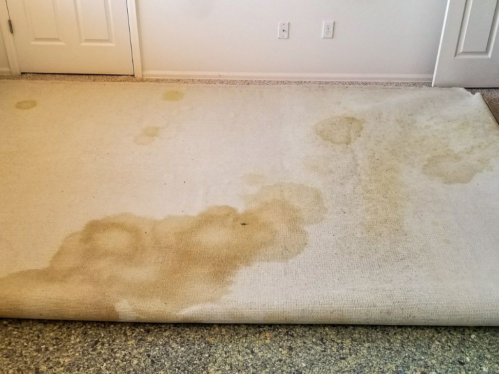 carpet protection