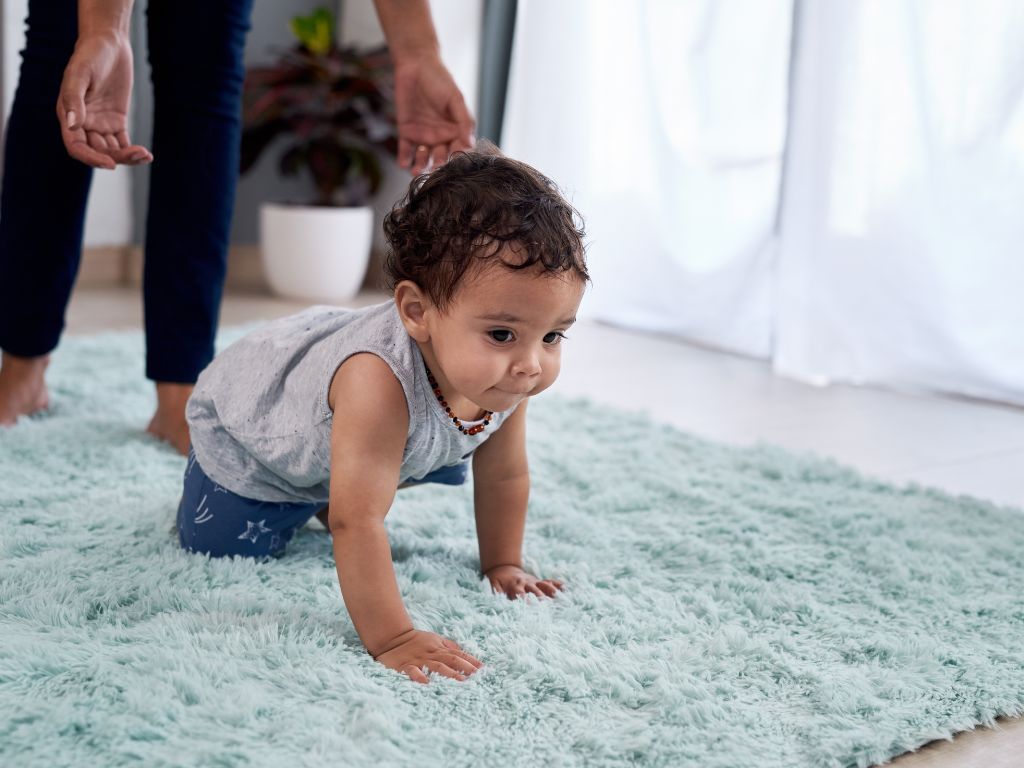 Top-quality Carpet Cleaning